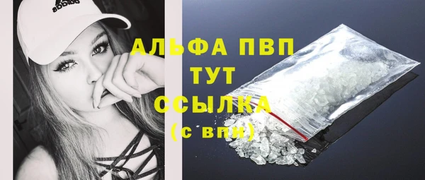 прущие грибы Абинск