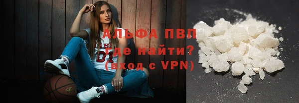 прущие грибы Абинск
