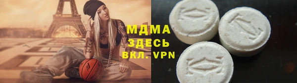 прущие грибы Абинск