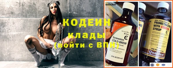 прущие грибы Абинск