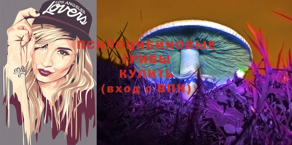 СК Абаза