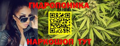 ПСИЛОЦИБИНОВЫЕ ГРИБЫ Владивосток