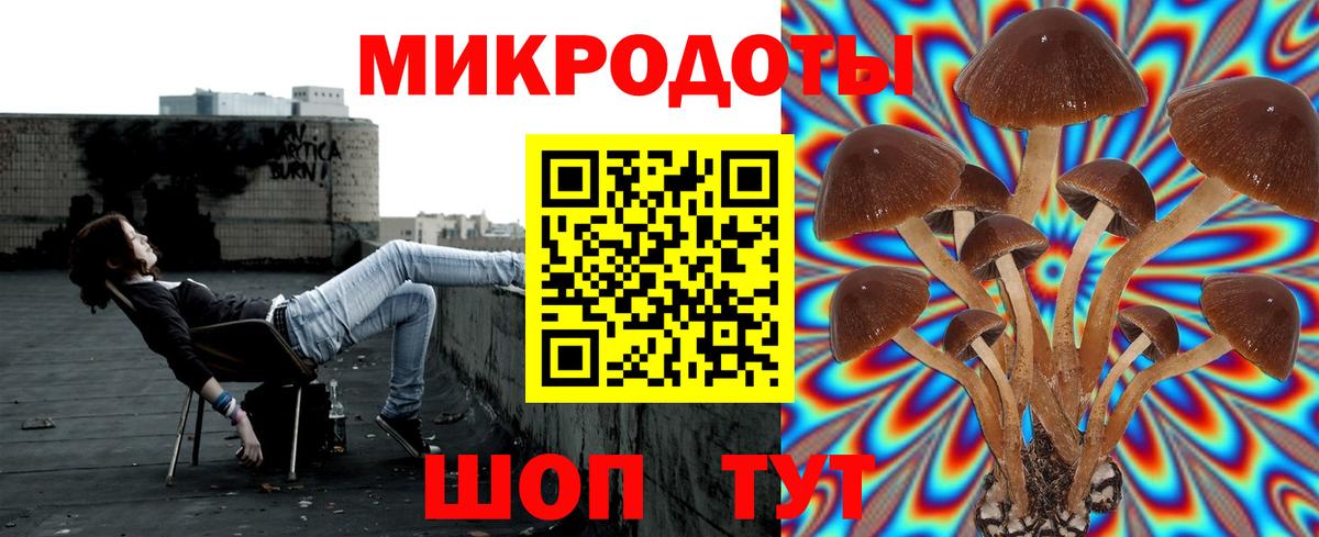 Галлюциногенные грибы GOLDEN TEACHER Североморск