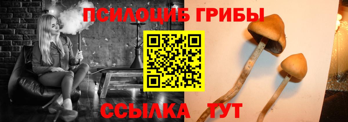 Псилоцибиновые грибы GOLDEN TEACHER  Вход с VPN  Североморск  хочу наркоту  Галлюциногенные грибы прущие грибы 